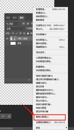 在弹出菜单选择【栅格化图层】