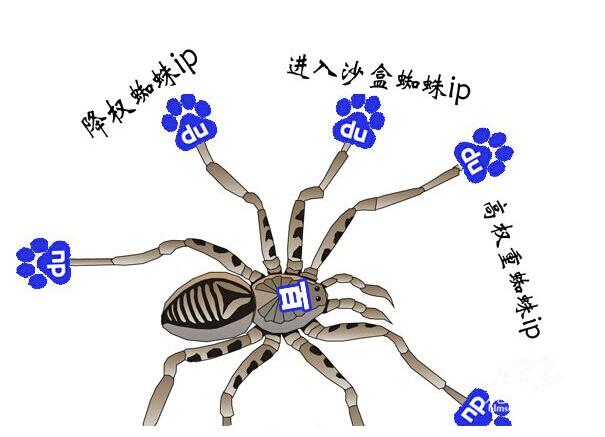 百度蜘蛛抓取示意图