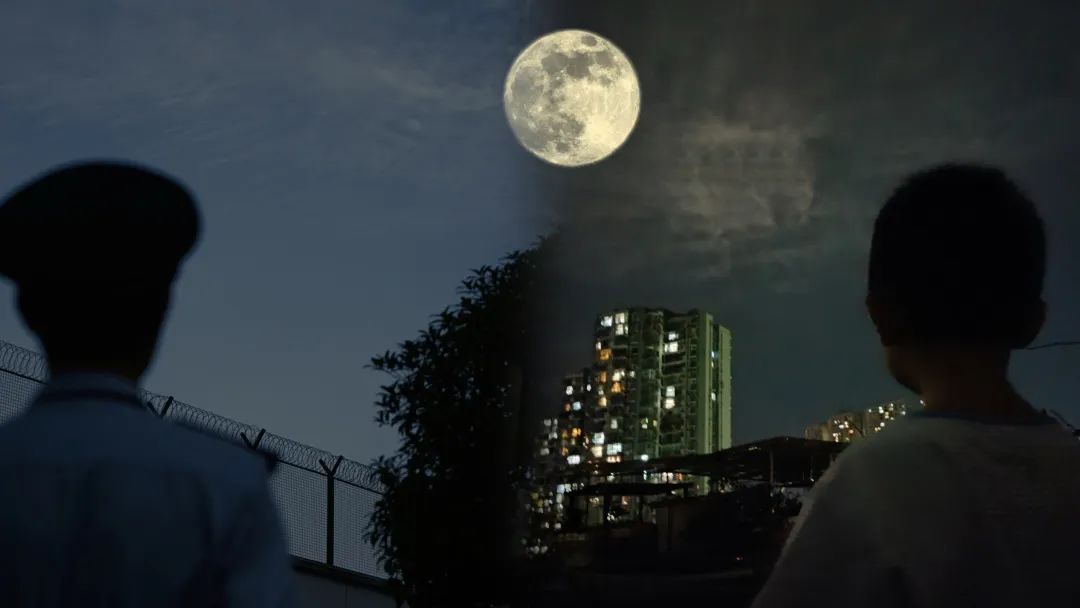 月光下的守护：那些被温柔接住的瞬间