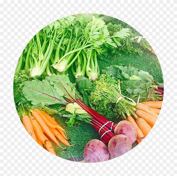 素食：与自然共生的生命哲学