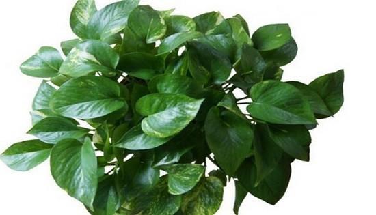 净值如溪，漫过四季的刻度