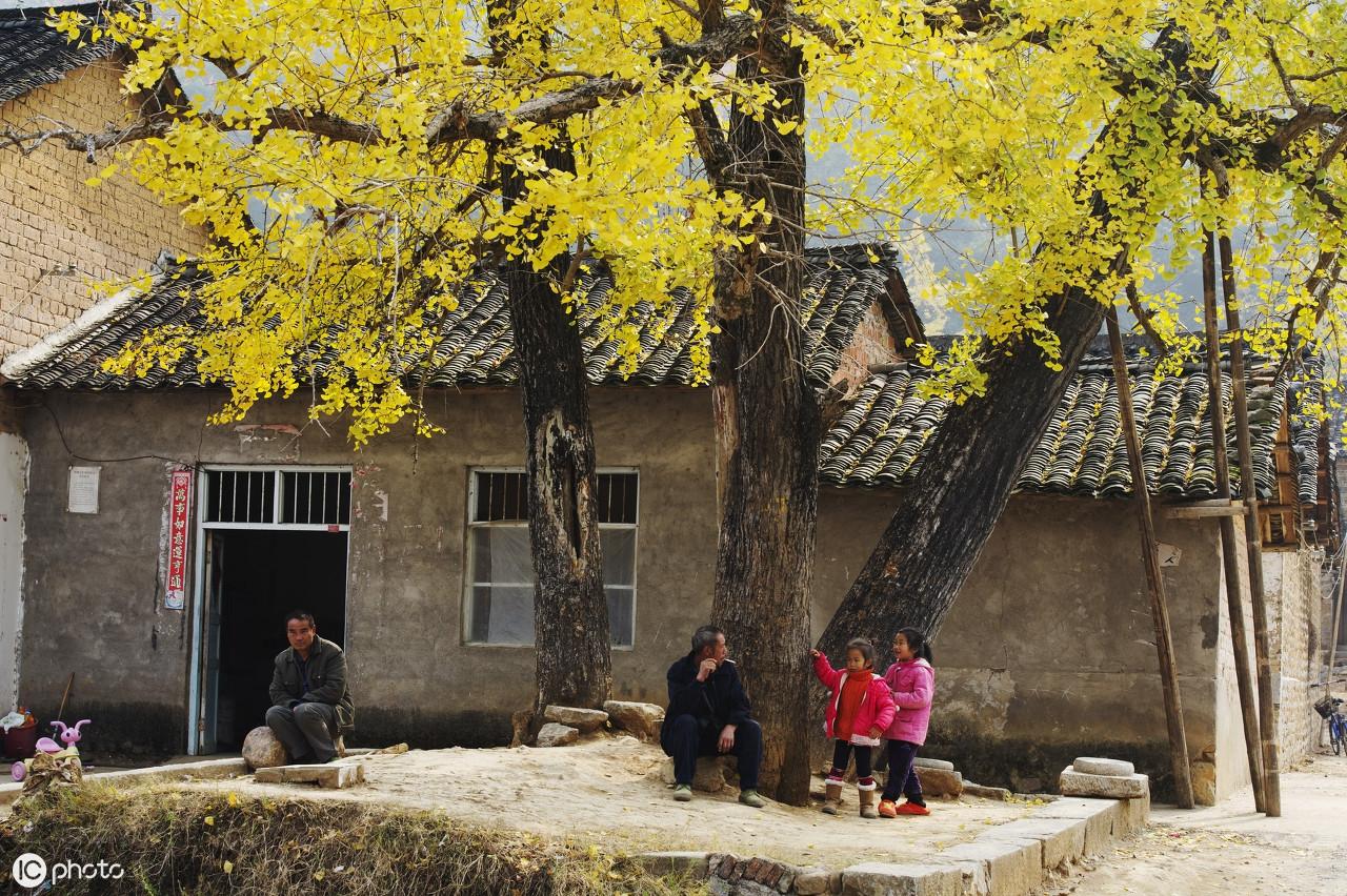 那间老屋里的空境