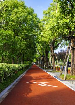 城市绿道：串联生活与自然的生态纽带