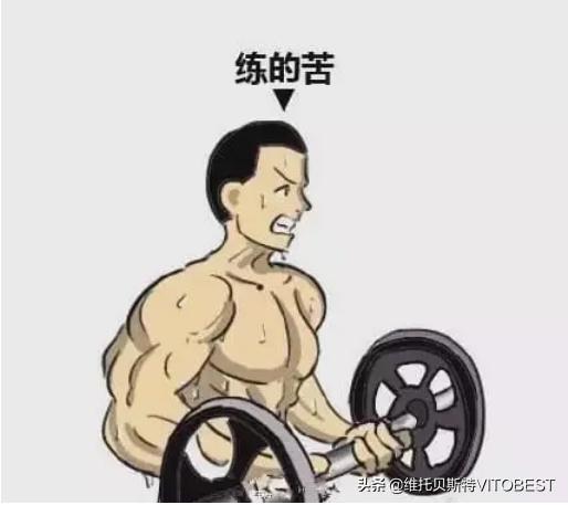从瘦猴到型男？增肌这点事，其实没那么玄乎