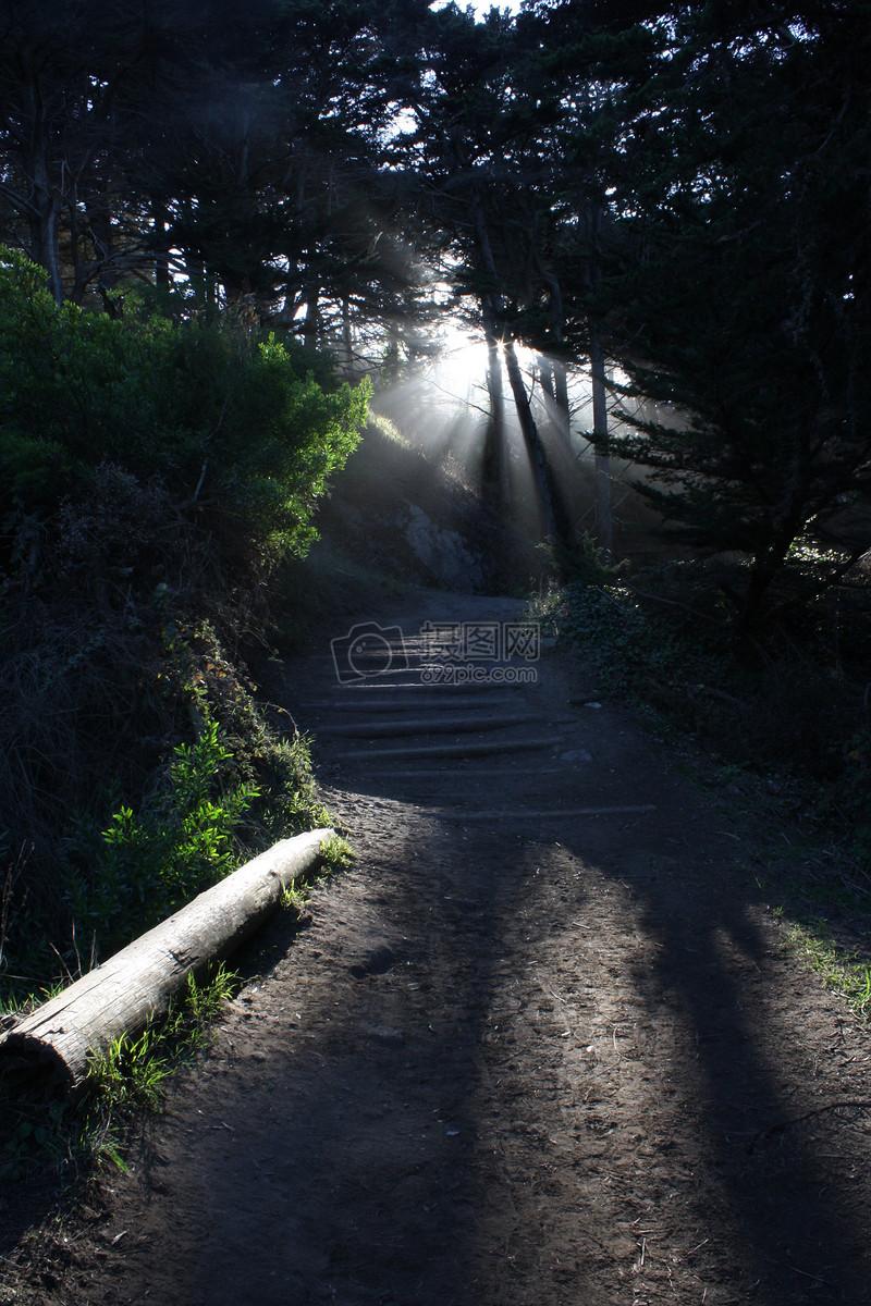 让生命在草木间舒展成自然的模样