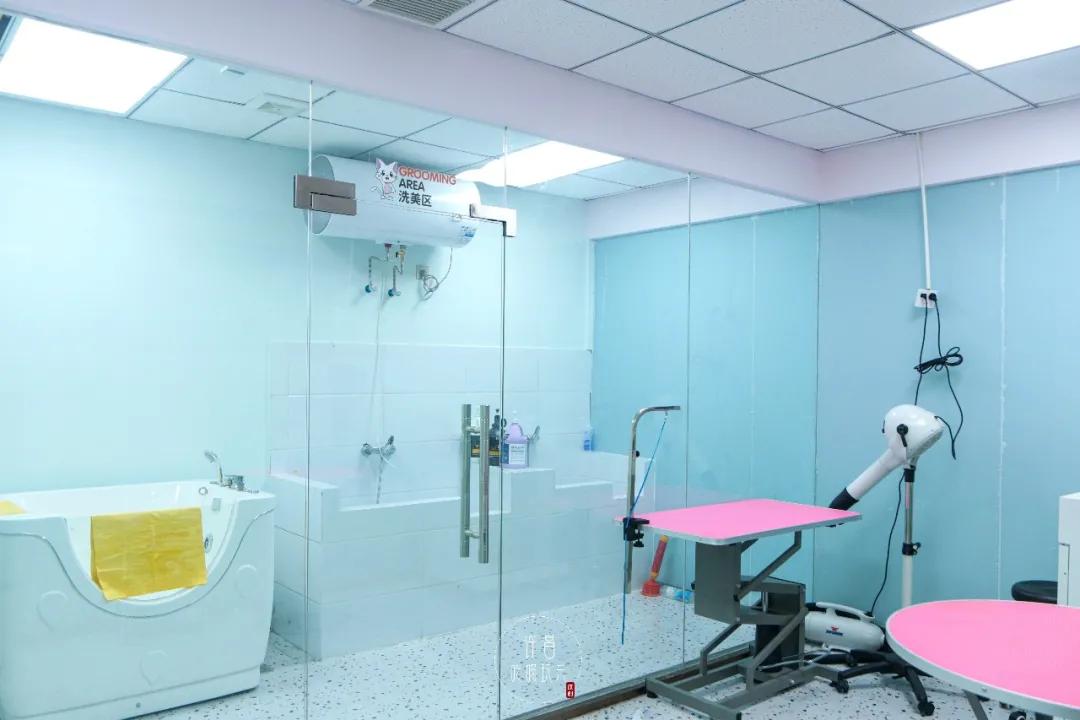 指尖的温柔，为毛孩子拂过四季的体面