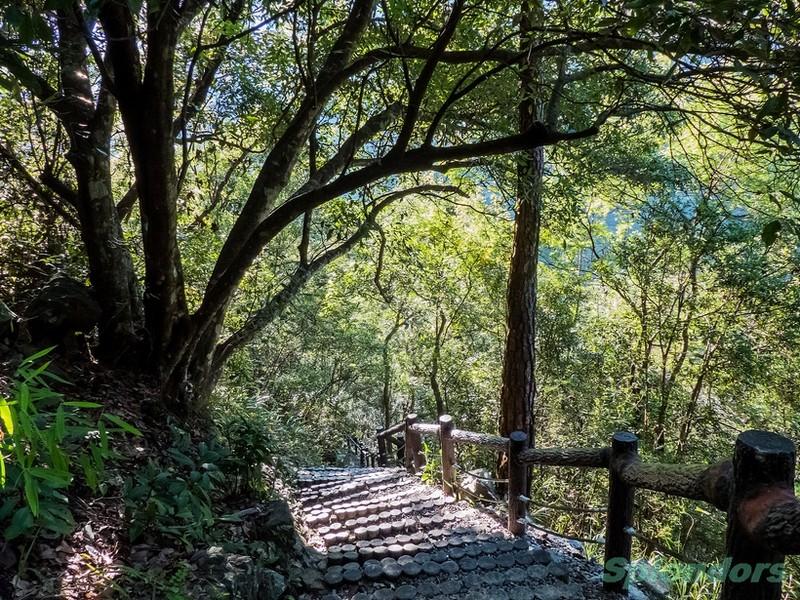 健康养生：在时光里种下常青的自己