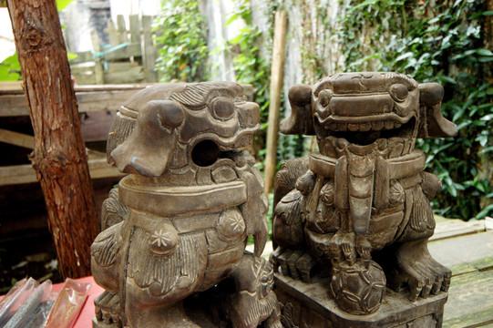 石缝里长出的月光