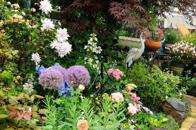 那些绽放在时光里的花卉故事