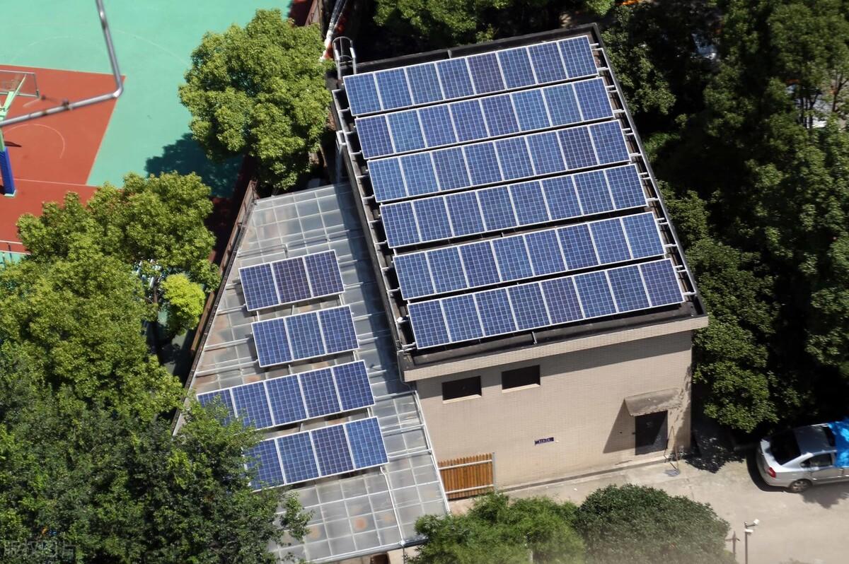 青衿之约：在碳的呼吸里听见四季轮回