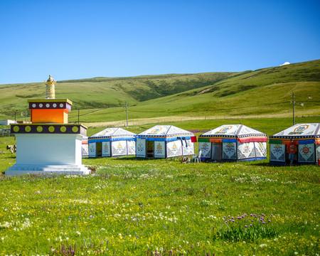 风吹草低处，那些与生命共生的日子