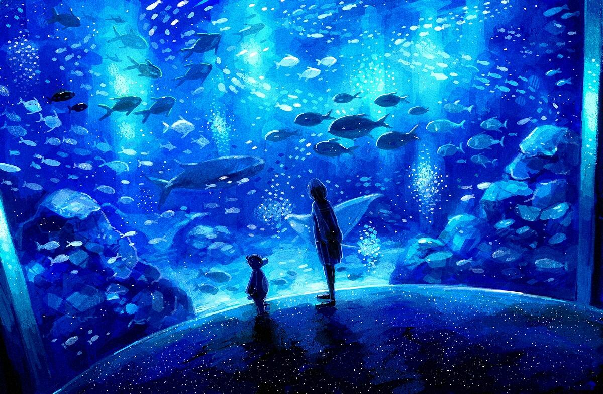 水族秘境：从江河湖海到玻璃容器的生命画卷