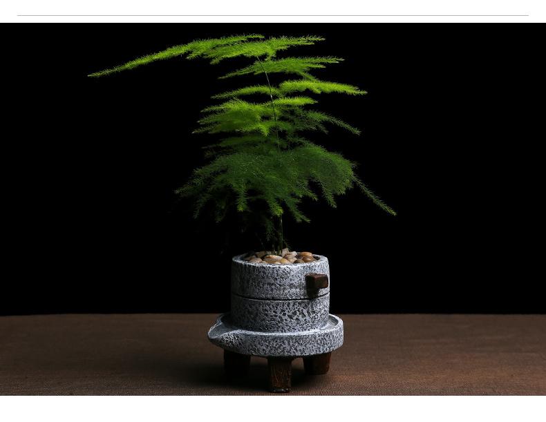 窗台上的陶盆里，藏着整个春天的碎影