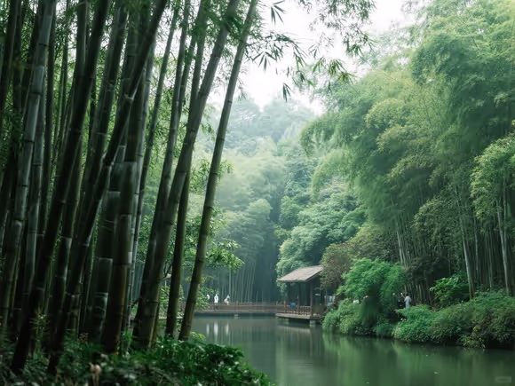 双流斑竹林景区怎么拍