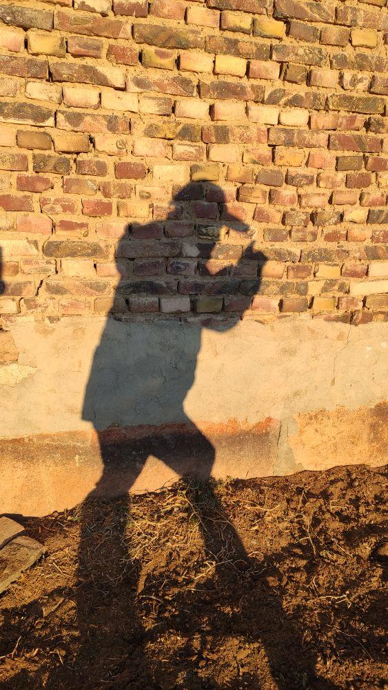 行走在文化肌理中的人类学