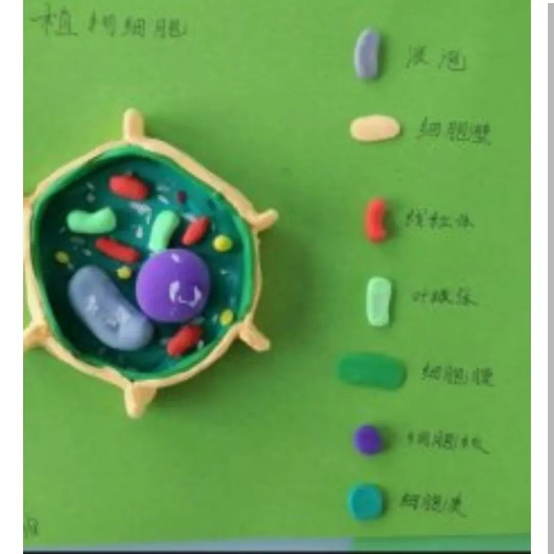 指尖的微观史诗：模型制作里的匠心与世界