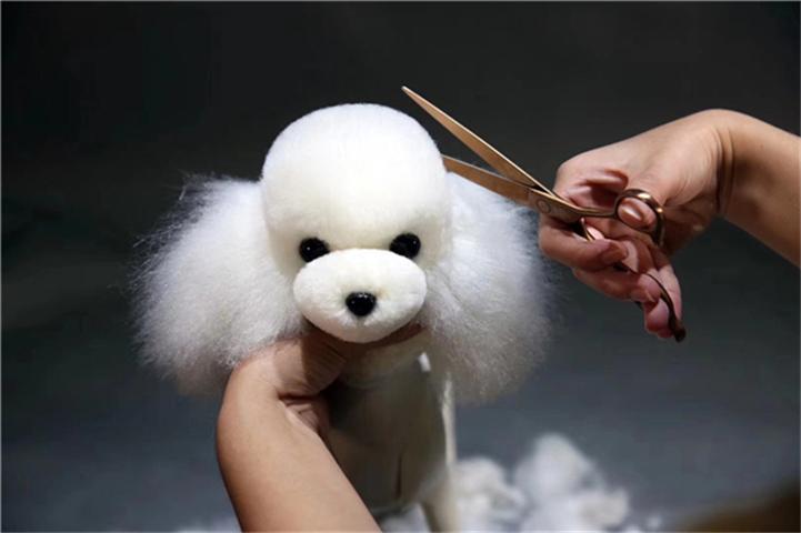 给毛孩子变美的小秘密：宠物美容小技巧大公开