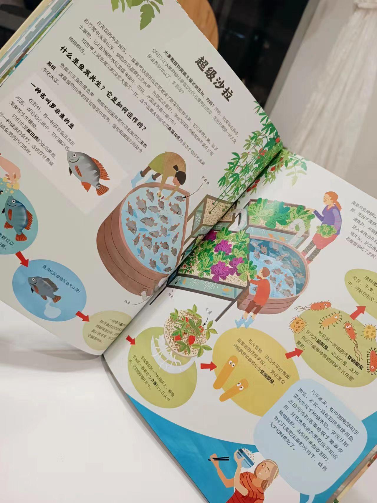 万物循环：破解资源困局的生活新范式