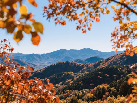 香山京郊哪里好玩