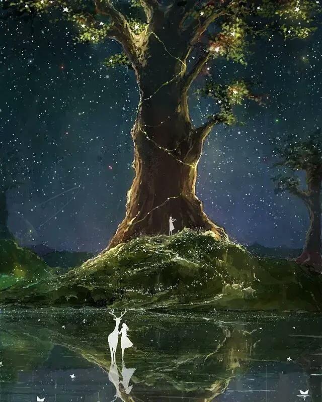 星河入梦时，代码在叶脉间生长