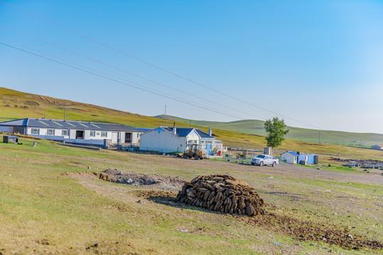 那些在草原和圈舍里生长的畜牧故事