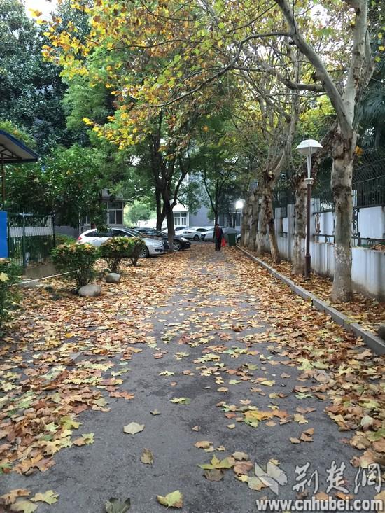 镜头里的光影游戏，藏着普通人的小确幸