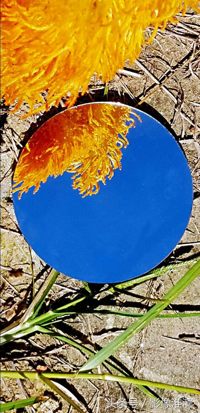 镜中花,掌中月 —— 幻镜里的百年迷梦