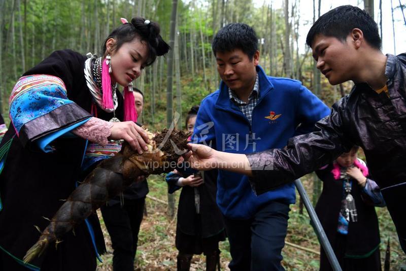 山货出村记：一条网线串起的乡村新图景