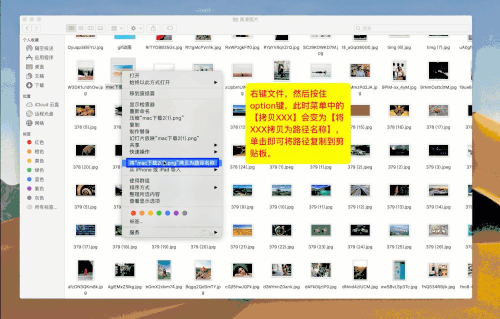 Mac 系统常用小技巧 小白新入手Mac 快速从入门到精通-兔子论坛论坛-兔子博客