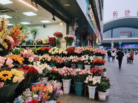 长沙火车站旁花店