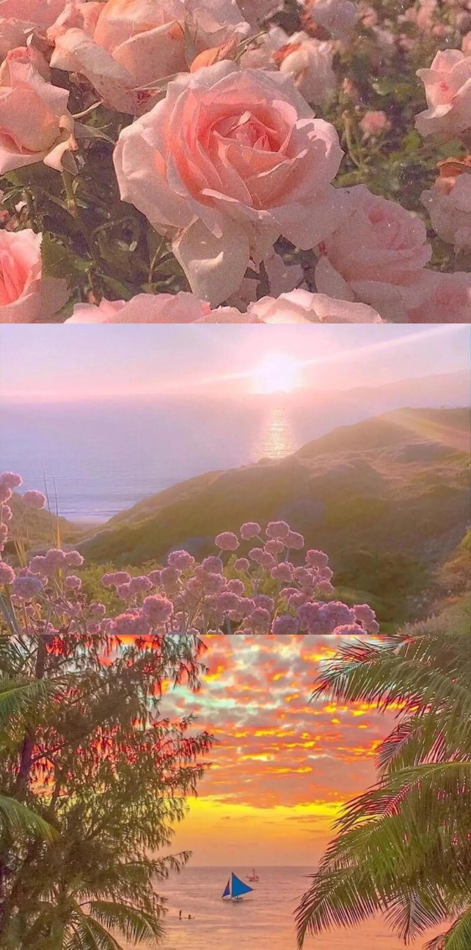 滤镜：当代人的第二张脸，还是现实的美颜相机？