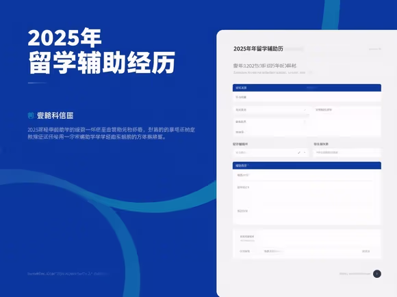留学辅助经历怎么填写啊