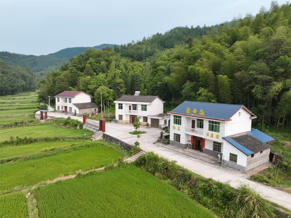 金冠村附近有什么景点吗