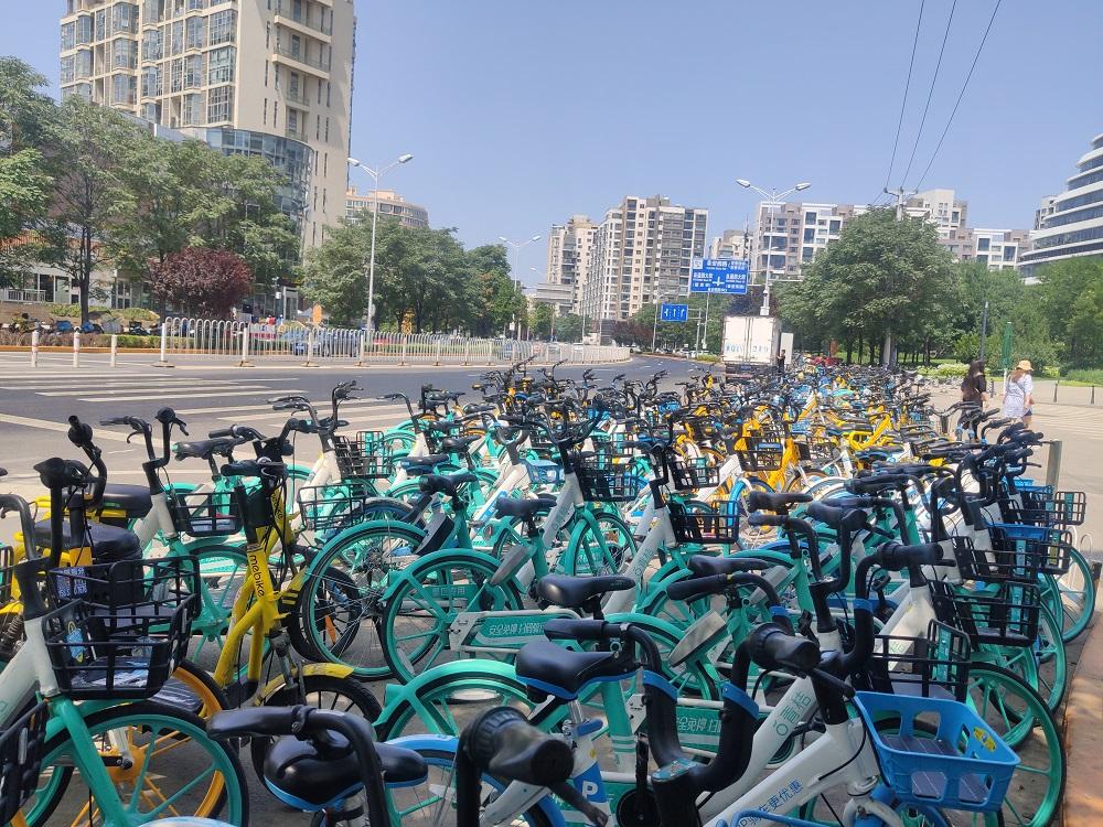 轮印与辙痕间的絮语