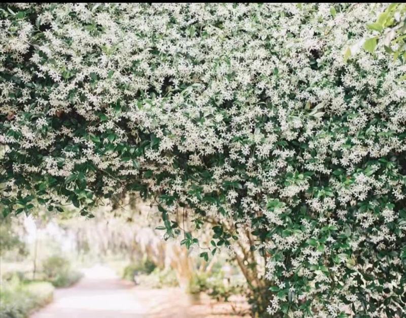 光影织就的瞬间诗篇