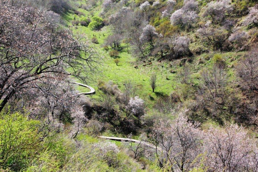 青山环抱处，那些与碳同行的日子