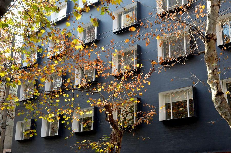 草木的轮回与钢铁的重生