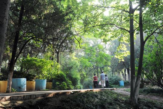 当心跳与晨曦共舞：写给每颗渴望鲜活的灵魂