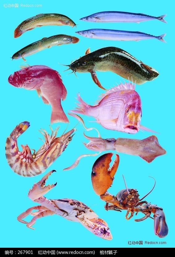 水族世界大揭秘：常见问题全解答