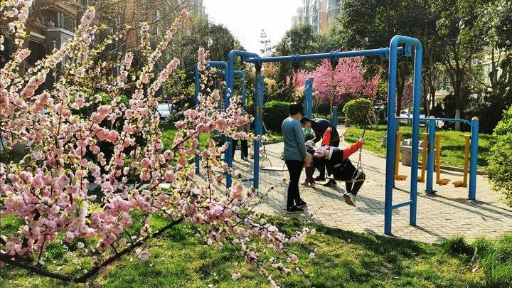 素质教育：把课堂搬出课本的 “欢乐实验”