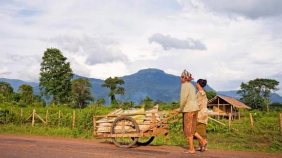 一杯咖啡里的世界：从种植到饮用的完整知识图谱