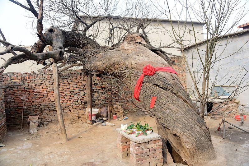 那些藏在时光褶皱里的关怀