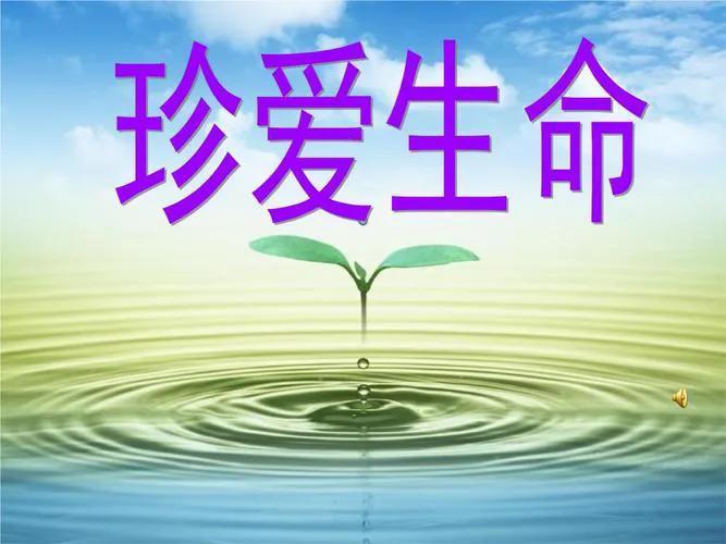 生命教育：在时光褶皱里捡拾星光