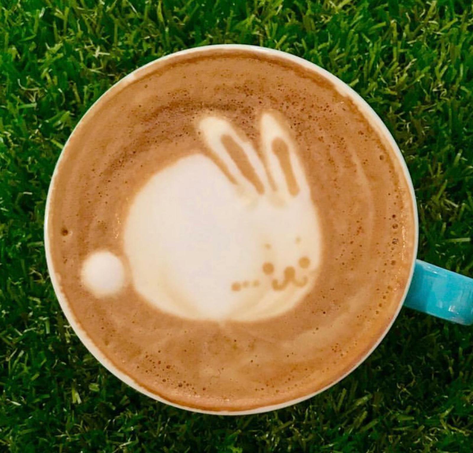 咖啡拉花：一杯咖啡里的艺术与温度