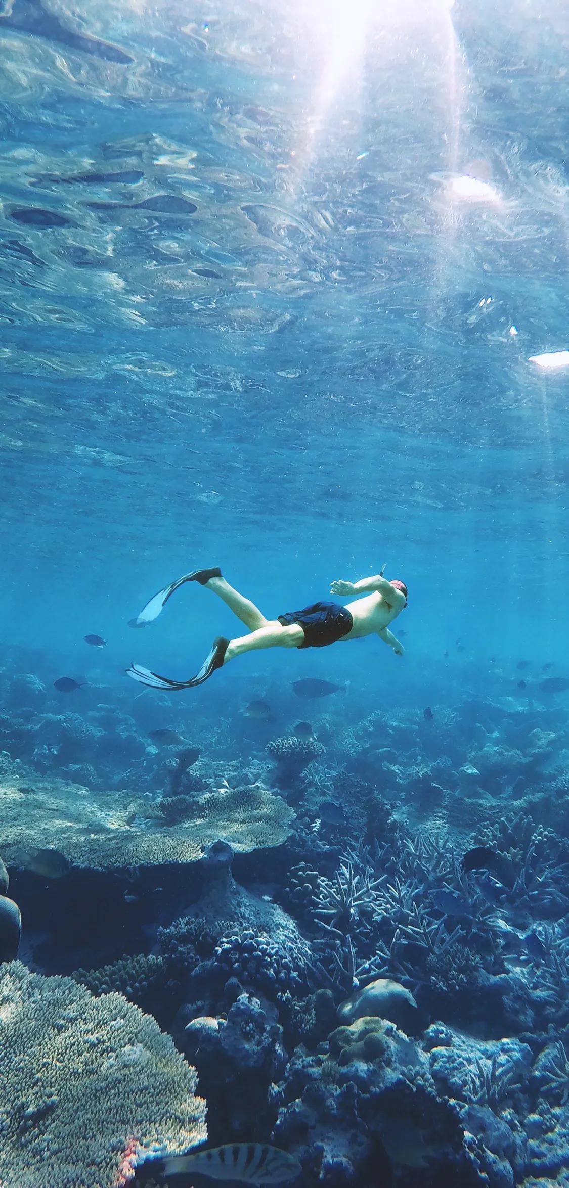 潜水：触摸深海的呼吸