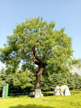 那些藏在日常褶皱里的温柔回响