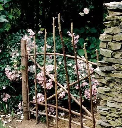 泥土与藤蔓的私语:园艺里藏着时光的诗行