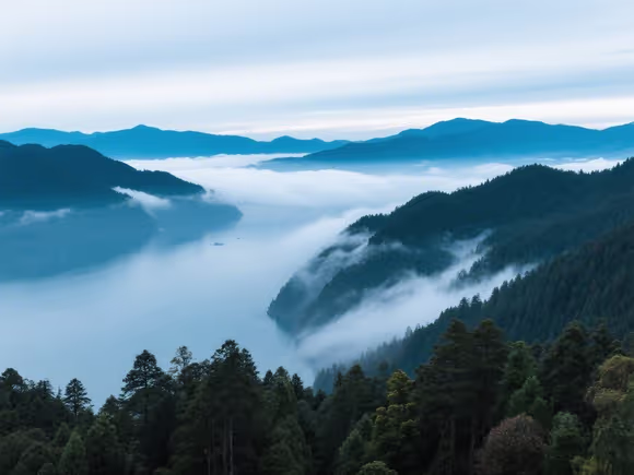 瓦屋山上面有什么景点