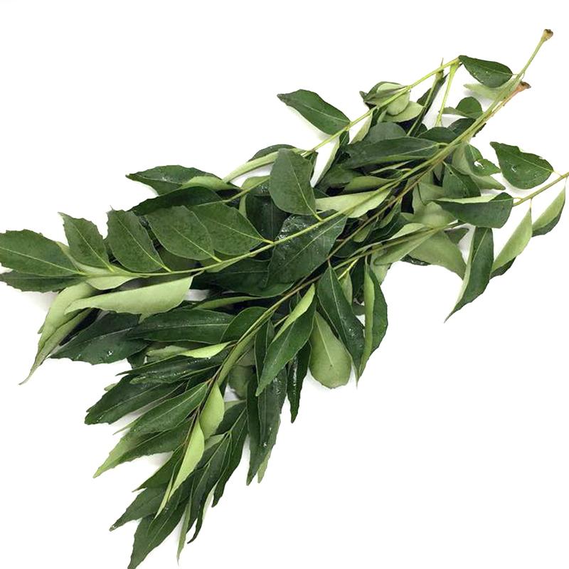 咖喱叶上的月光