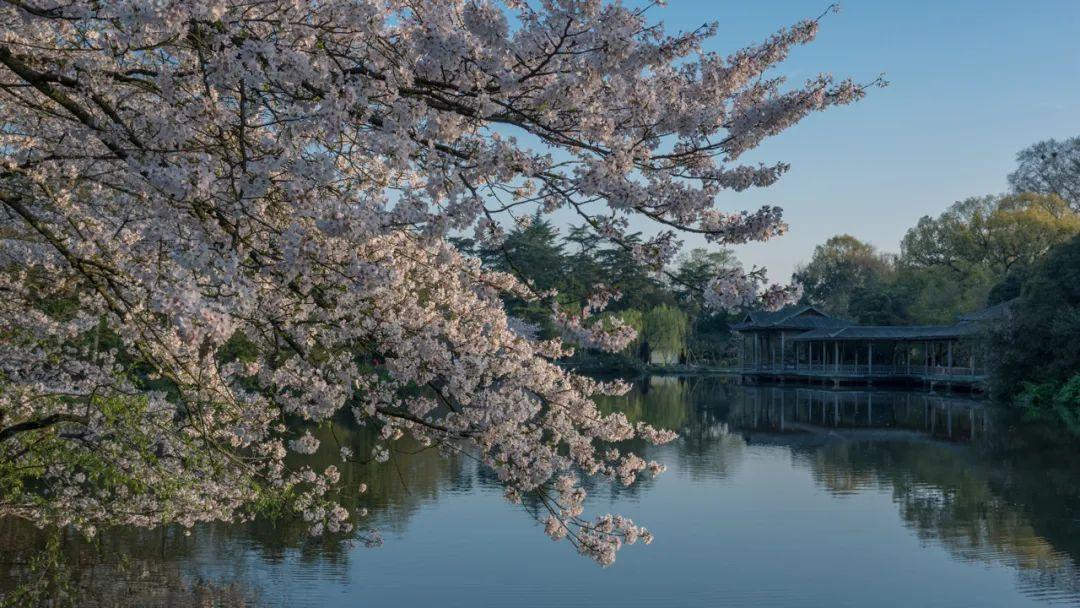 镜头里的山河，脚步下的人间